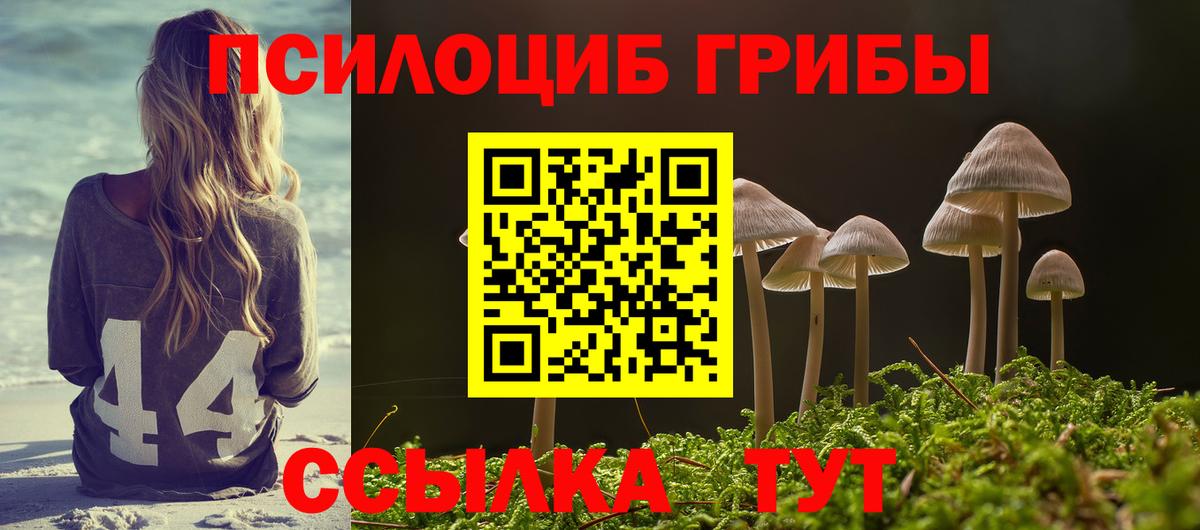 Моздок  Псилоцибиновые грибы ЛСД  Псилоцибиновые грибы Psilocybine cubensis  Вход с VPN 